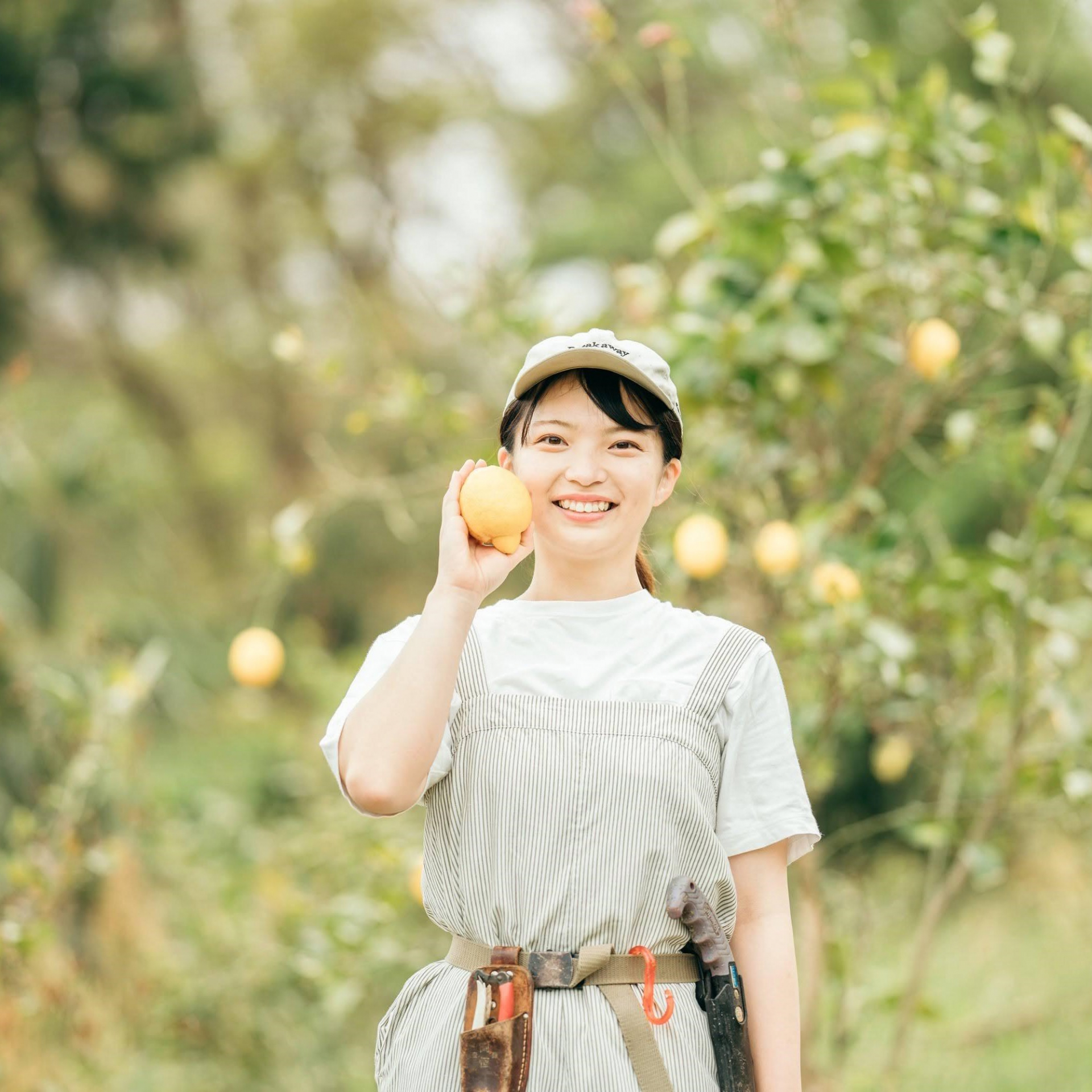 槇 紗加さんの画像