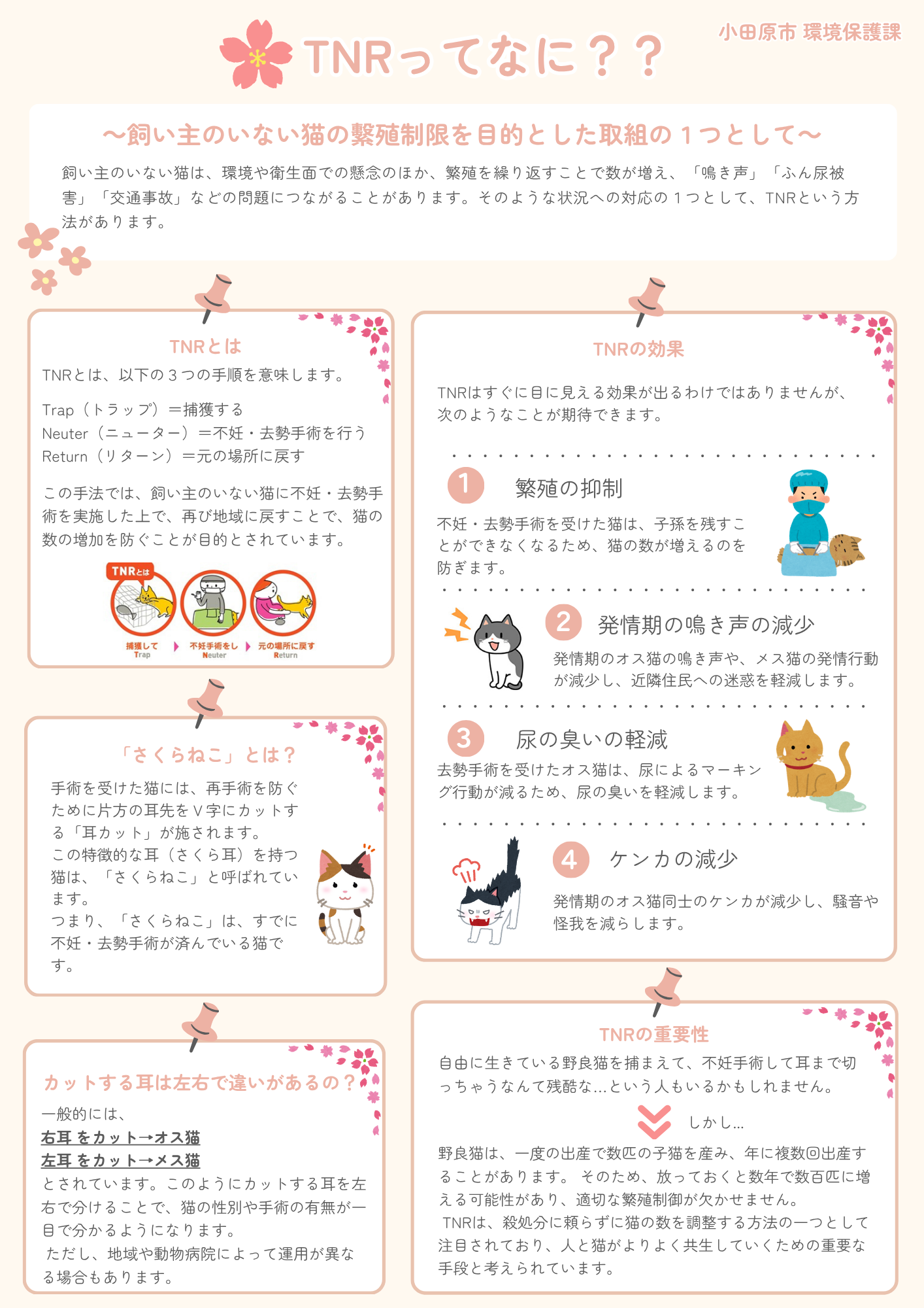 TNRってなに チラシ