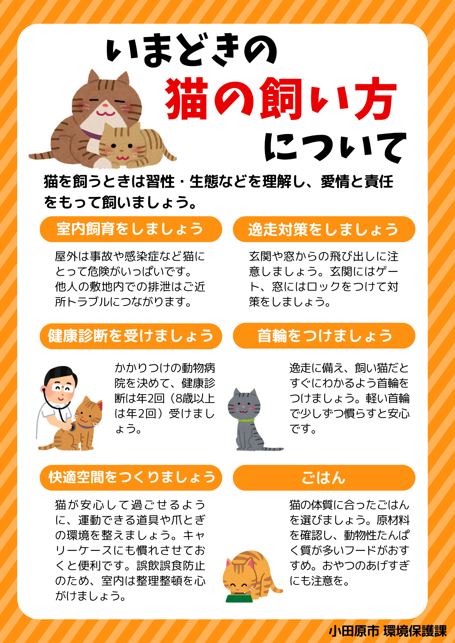 いまどきの猫の飼い方について チラシ