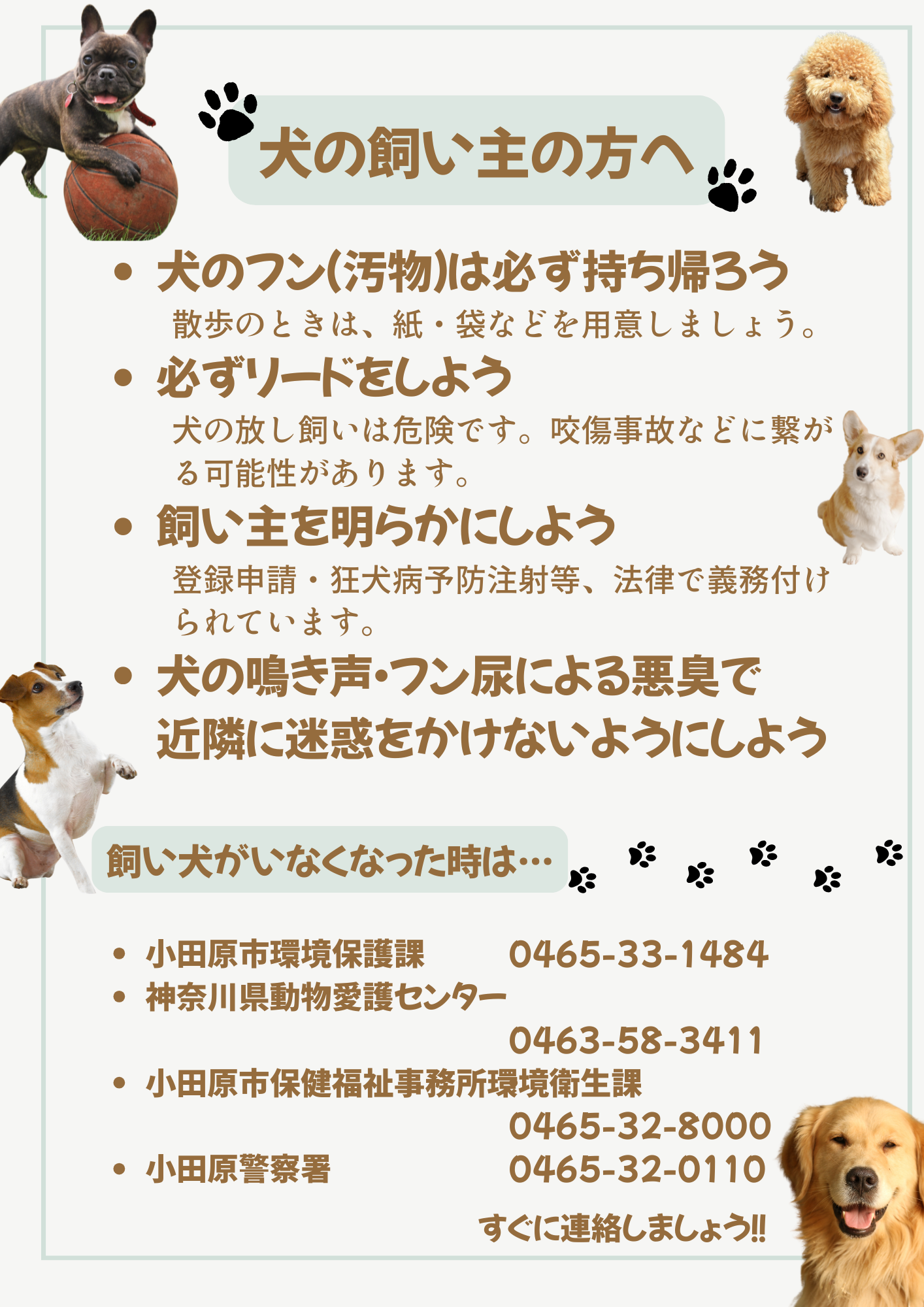 犬の飼い主の方へ チラシ