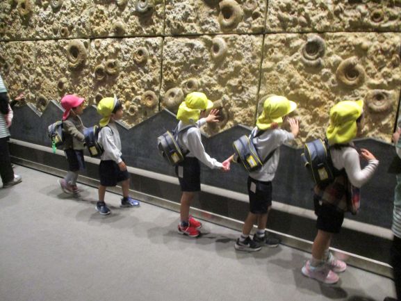 アンモナイトの化石を触っているところ