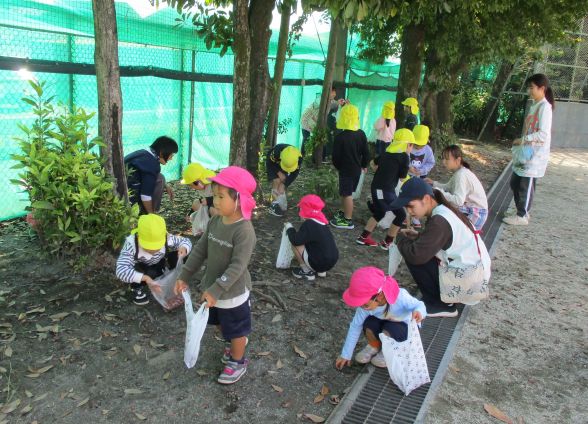 どんぐりを拾っているところ