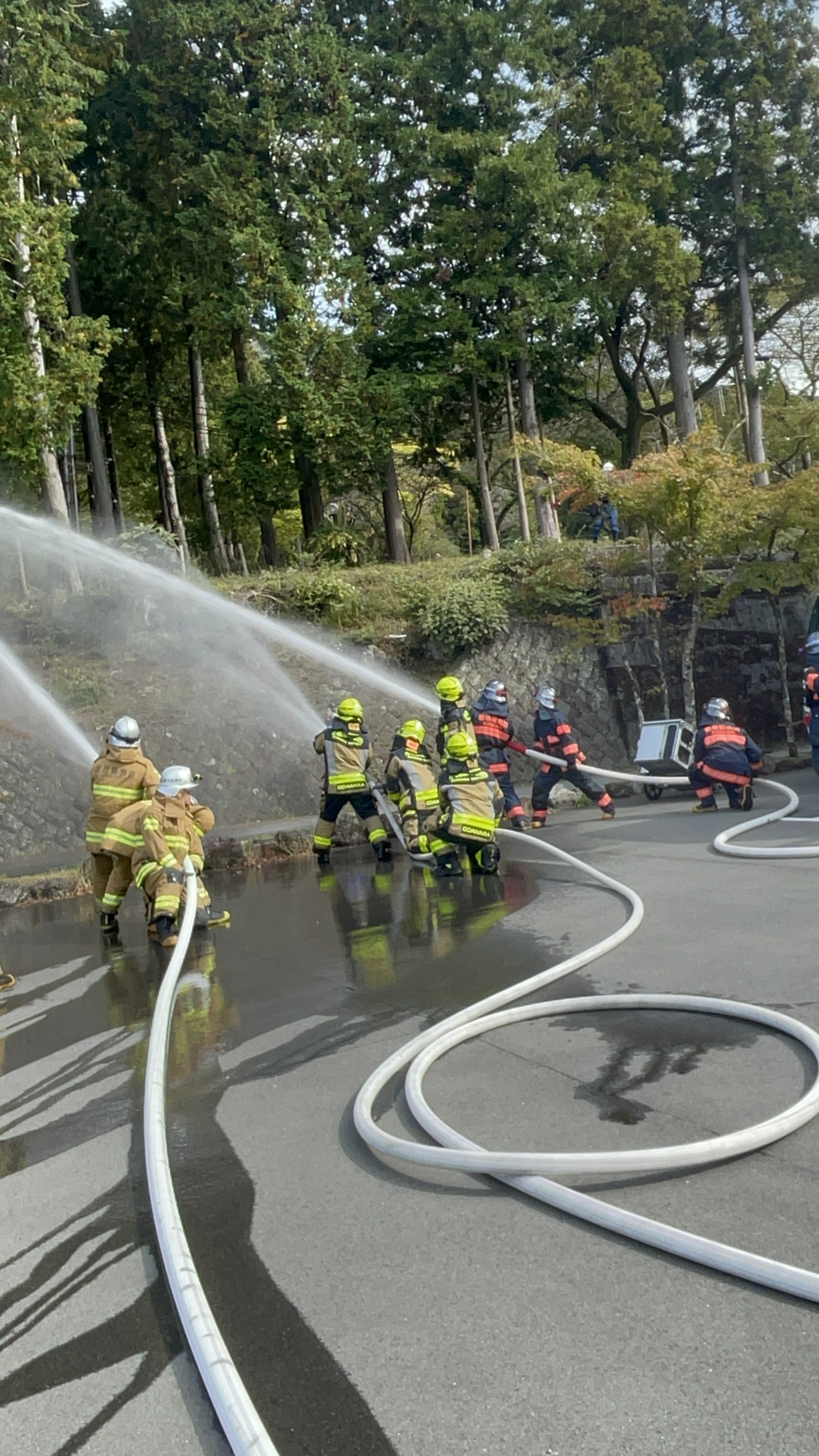 一斉放水を行ないました。