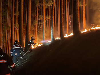 林野火災