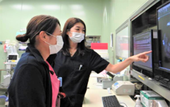 救急看護コース