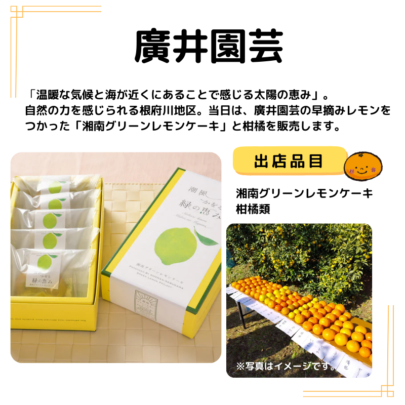 店名は廣井園芸。出品は 湘南グリーンレモンケーキと柑橘類。写真も掲載。説明以下の通り。温暖な気候と海が近くにあることで感じる太陽の恵み」。 自然の力を感じられる根府川地区。当日は、廣井園芸の早摘みレモンをつかった「湘南グリーンレモンケーキ」と柑橘を販売します。