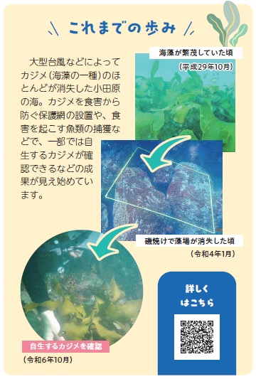 小田原藻場再生活動組織 野瀬さん 三谷さん