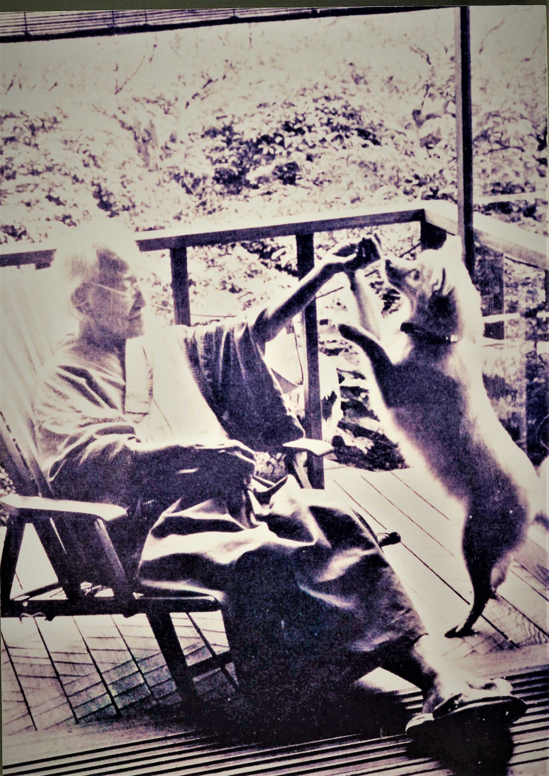 板橋での長谷川如是閑