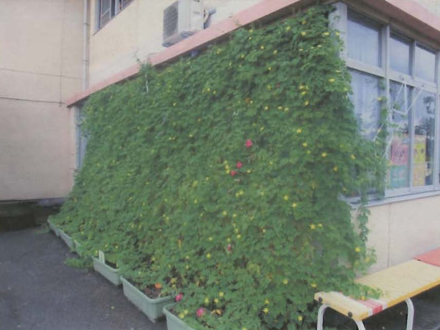 矢作幼稚園屋外