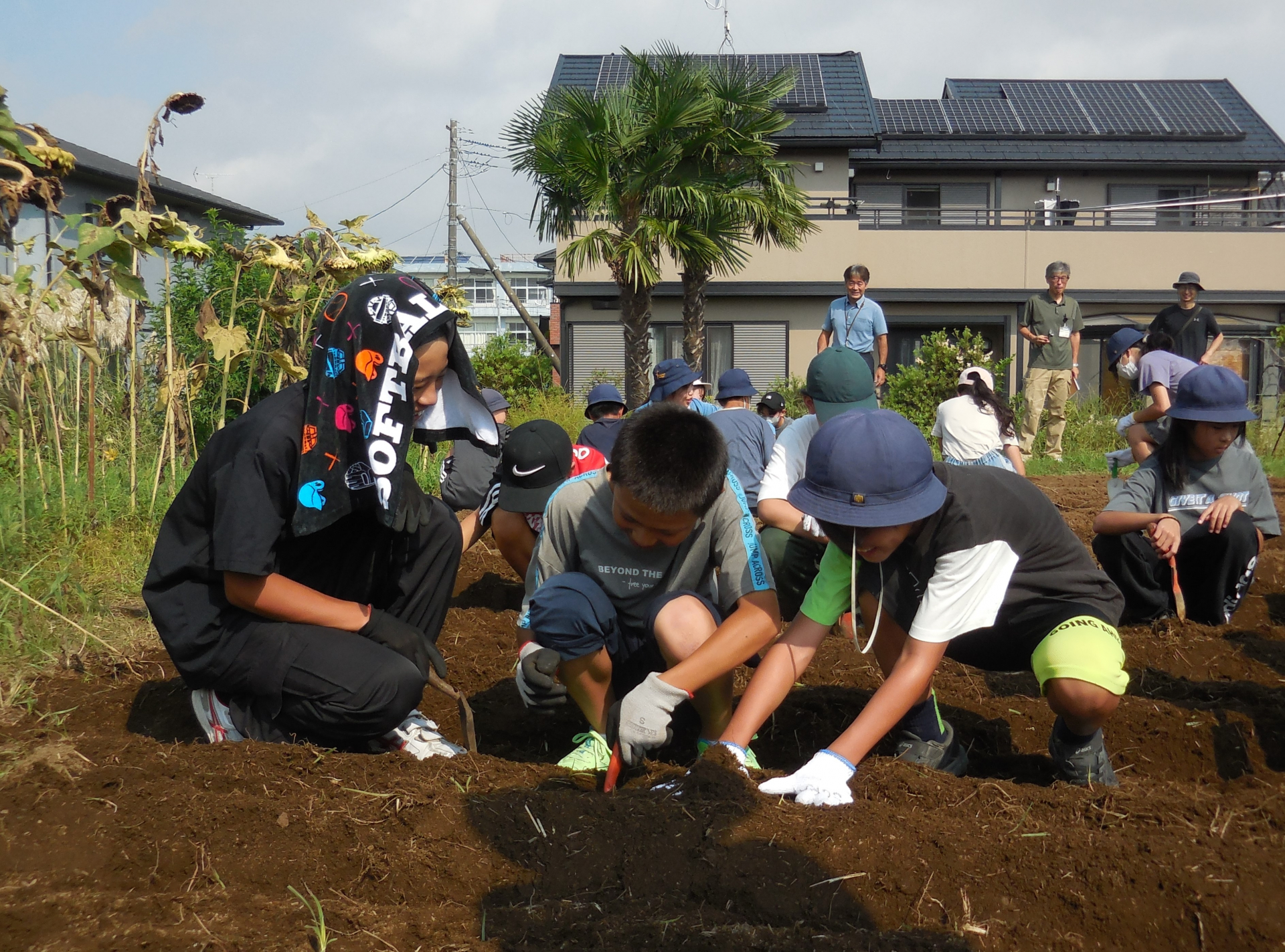 既に市内で展開されている多様な実践を土台に、地域担当職員が伴走支援しながら、地域全体で多世代交流の場を育む試行的な取組を現場で実践しています。令和７年度は、下曽我保育園における梅を通じた農と食体験、上府中地区まちづくり委員会における米づくり、富水小学校におけるジャガイモや米づくりなどの取組が行われました。
