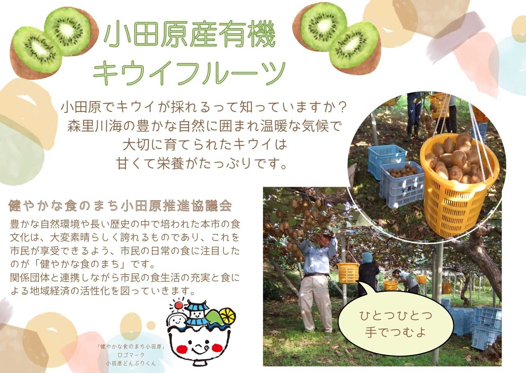 小田原産キウイフルーツのカード