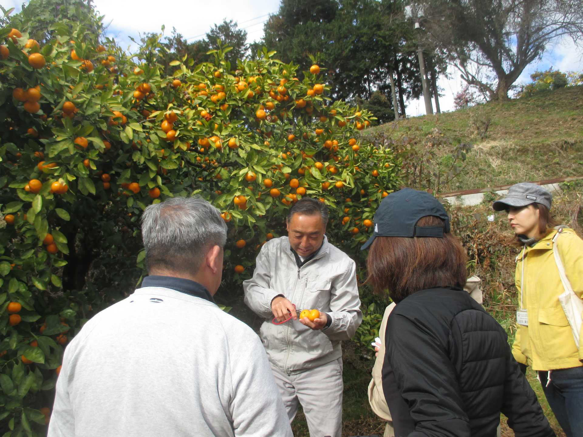 みかん収穫体験の様子（専門課程「地域の生産力を高める」）
