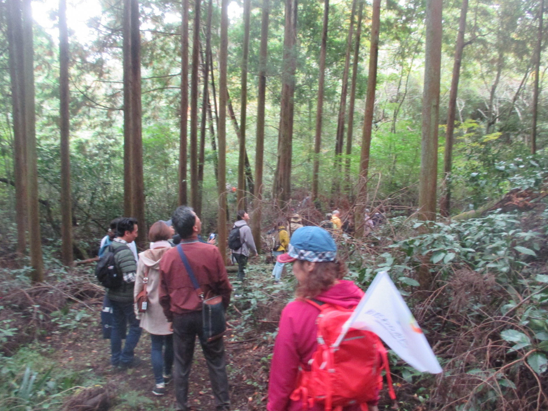 辻村山林散策の様子