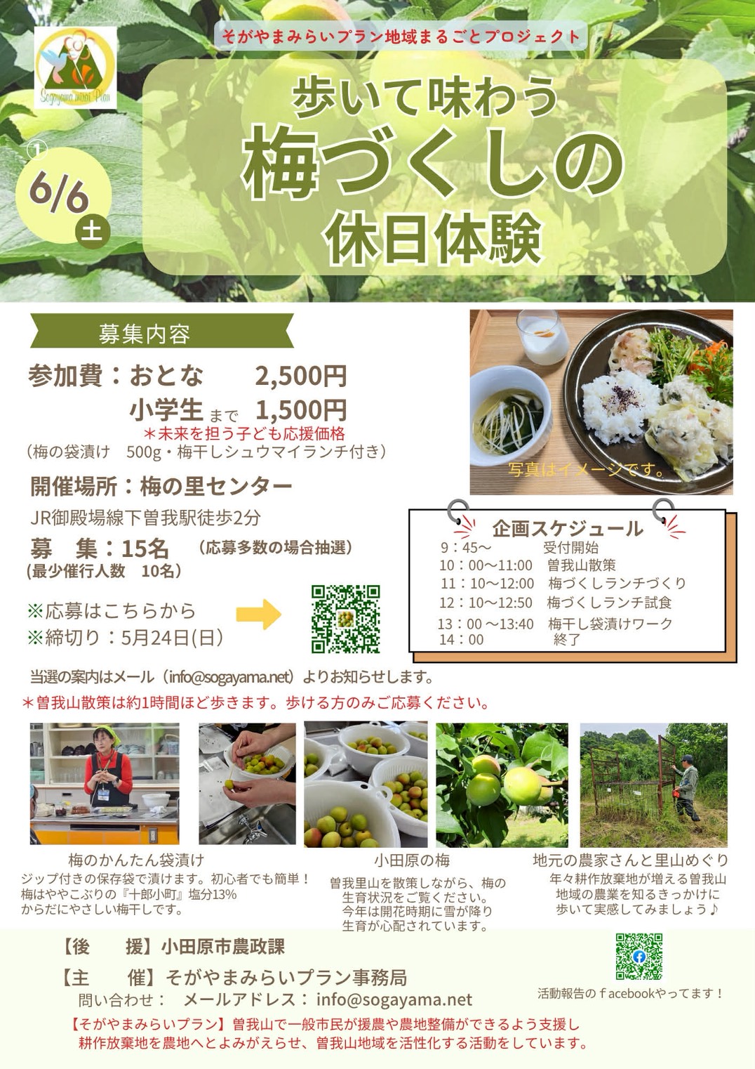 歩いて味わう梅づくしの休日体験　チラシ