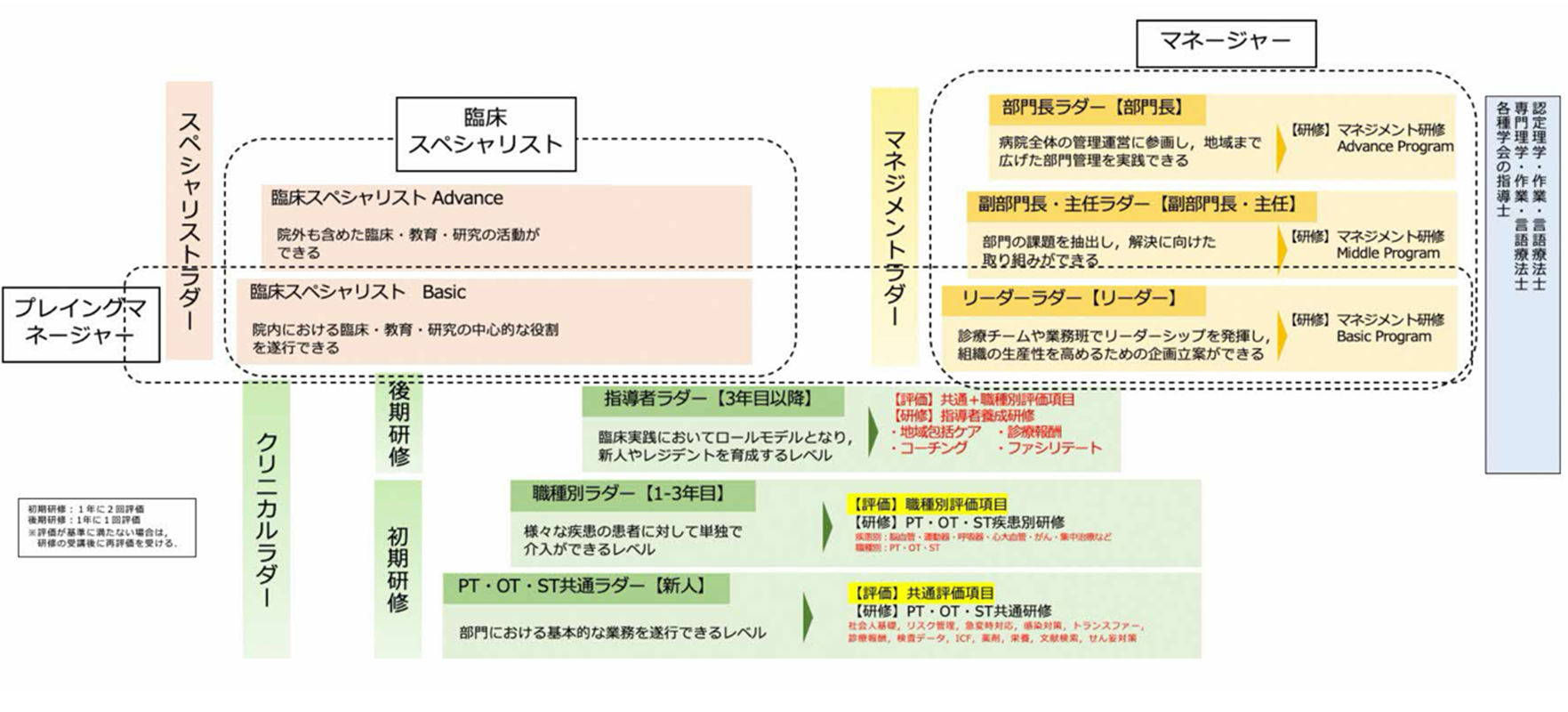 キャリアラダー