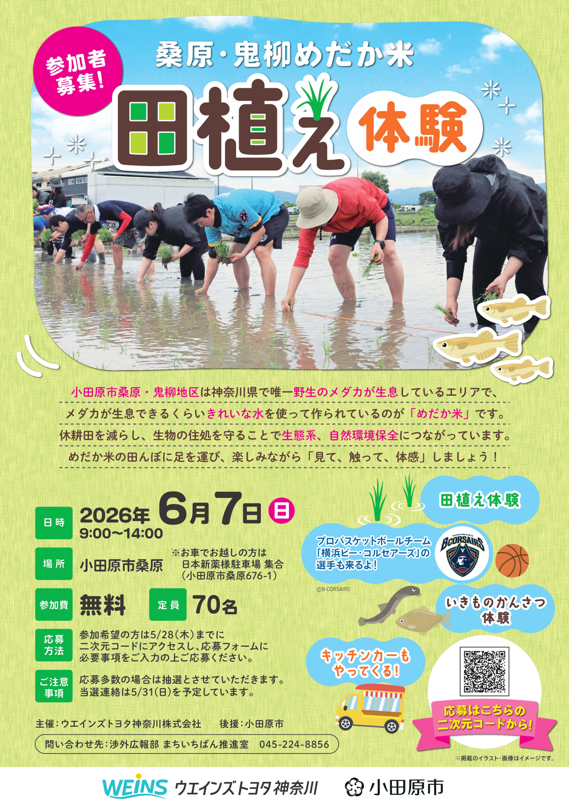 イベントチラシ