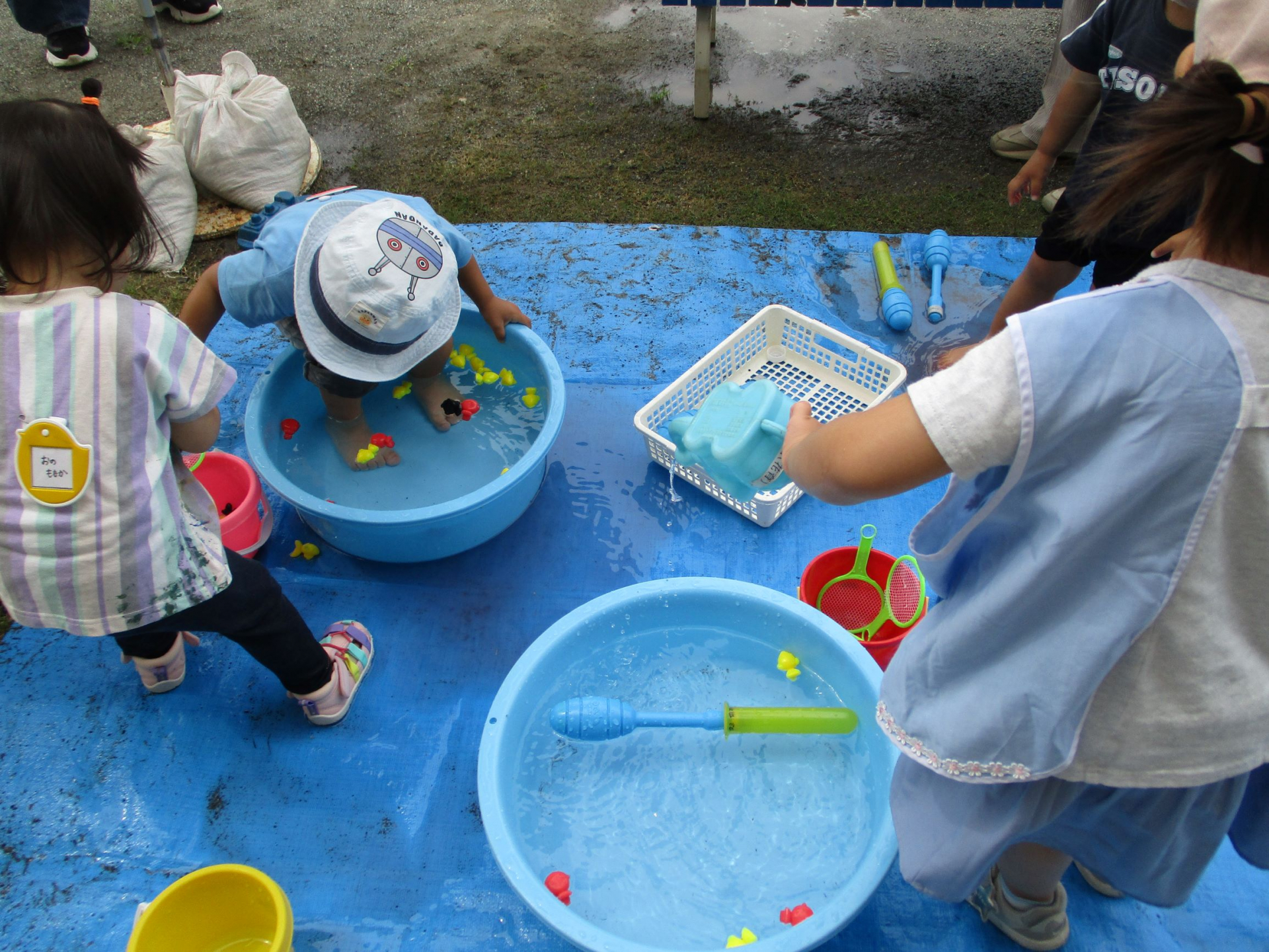 水遊びをしている