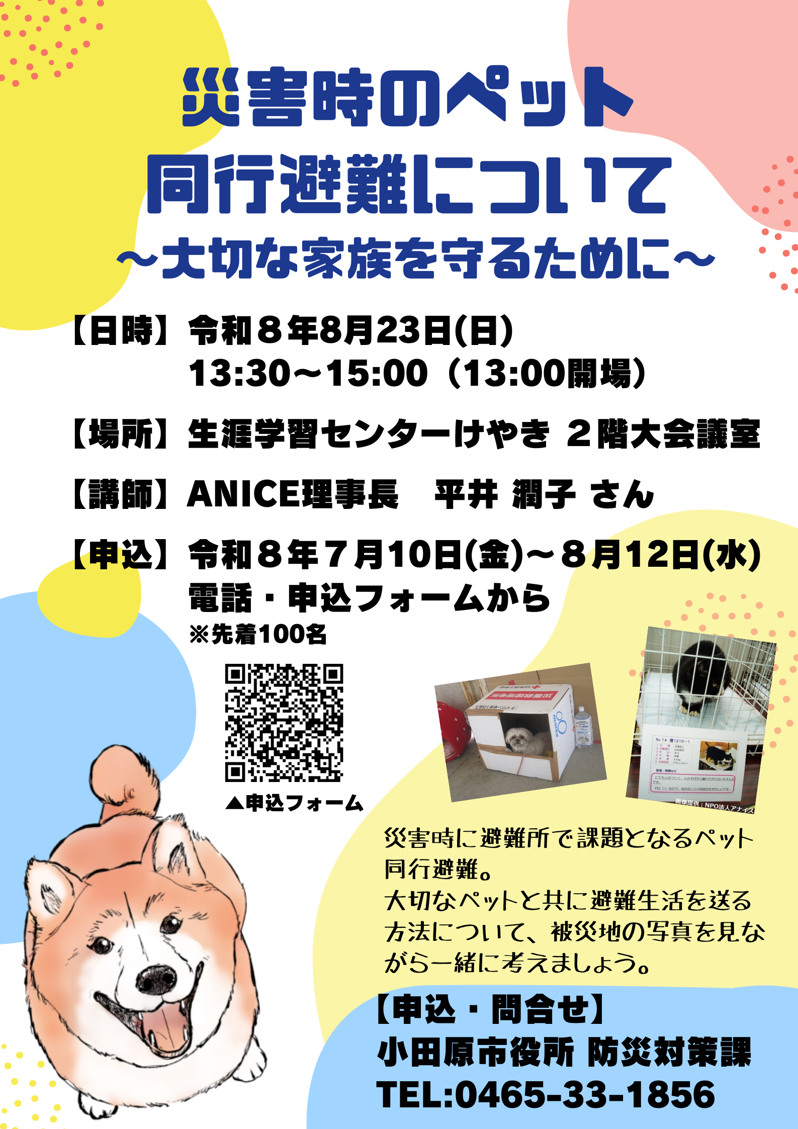 チラシ