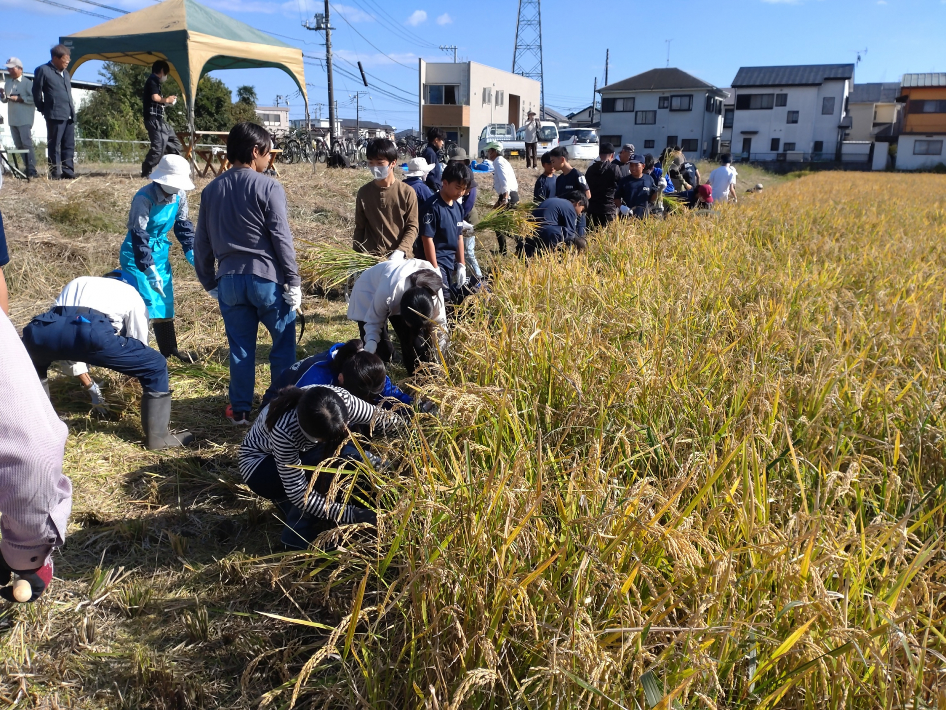 協働プロジェクト４　人と地域のつながり創出