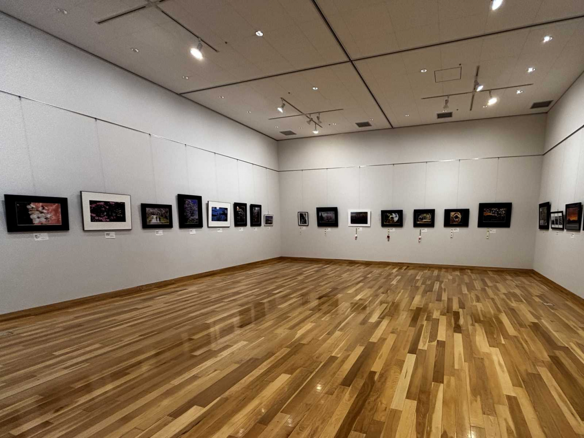 写真部門の展示風景