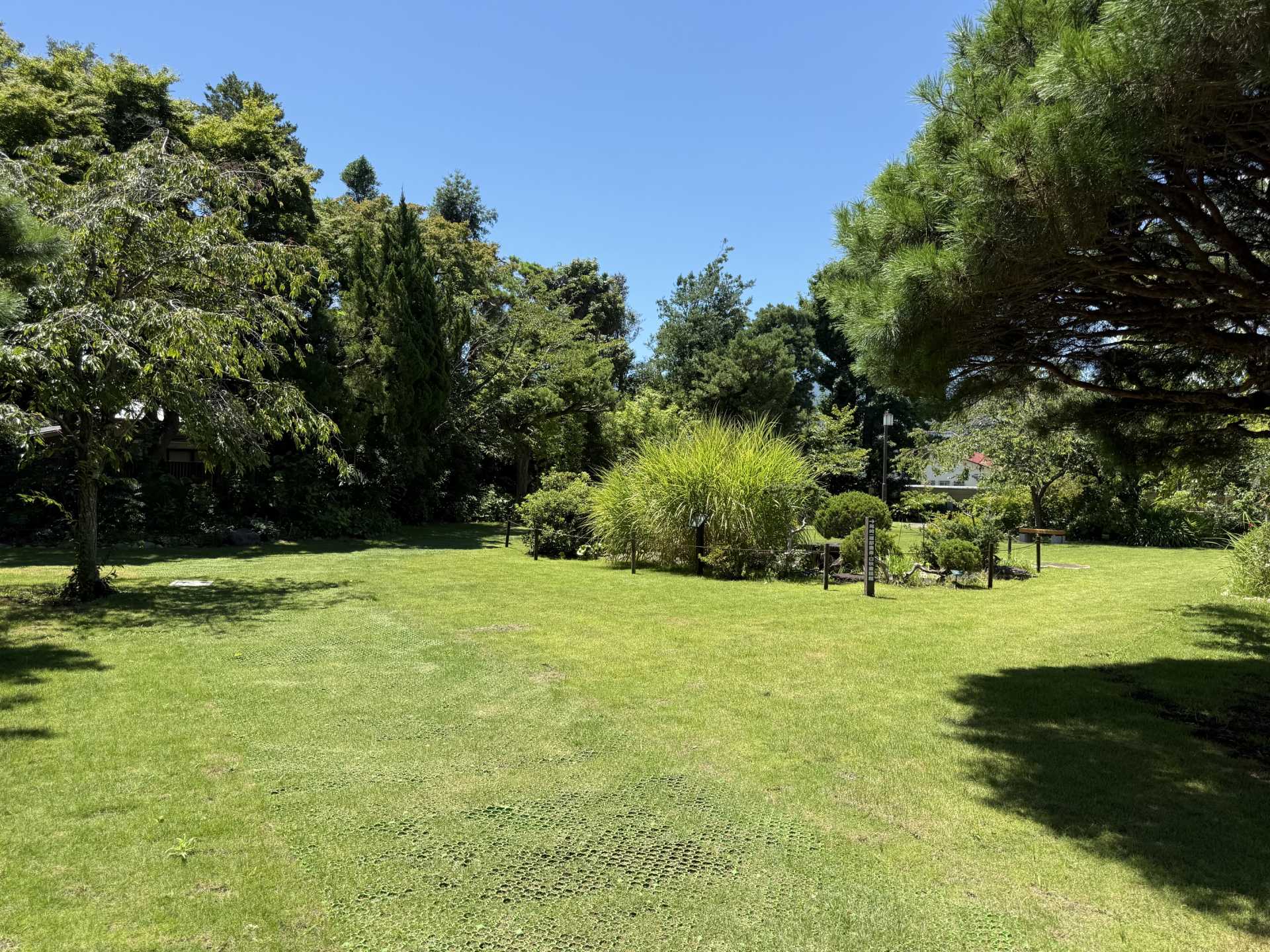 文学館庭園（芝生）