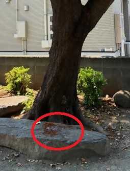 地面に落ちたフラスを示す写真