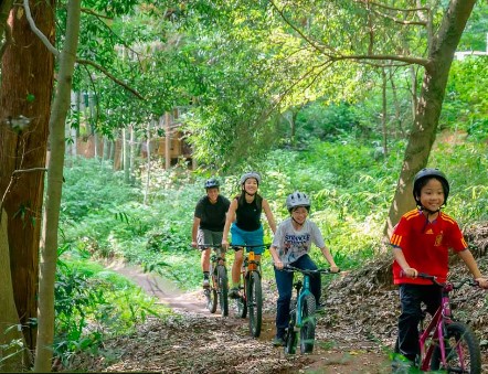 森林の中をマウンテンバイクで走っている様子