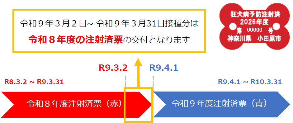 狂犬病注射済票交付のスケジュール（令和９年3月～令和10年）