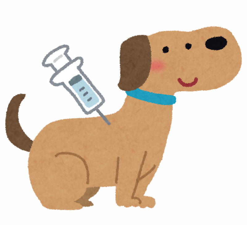 狂犬病予防注射をうける犬