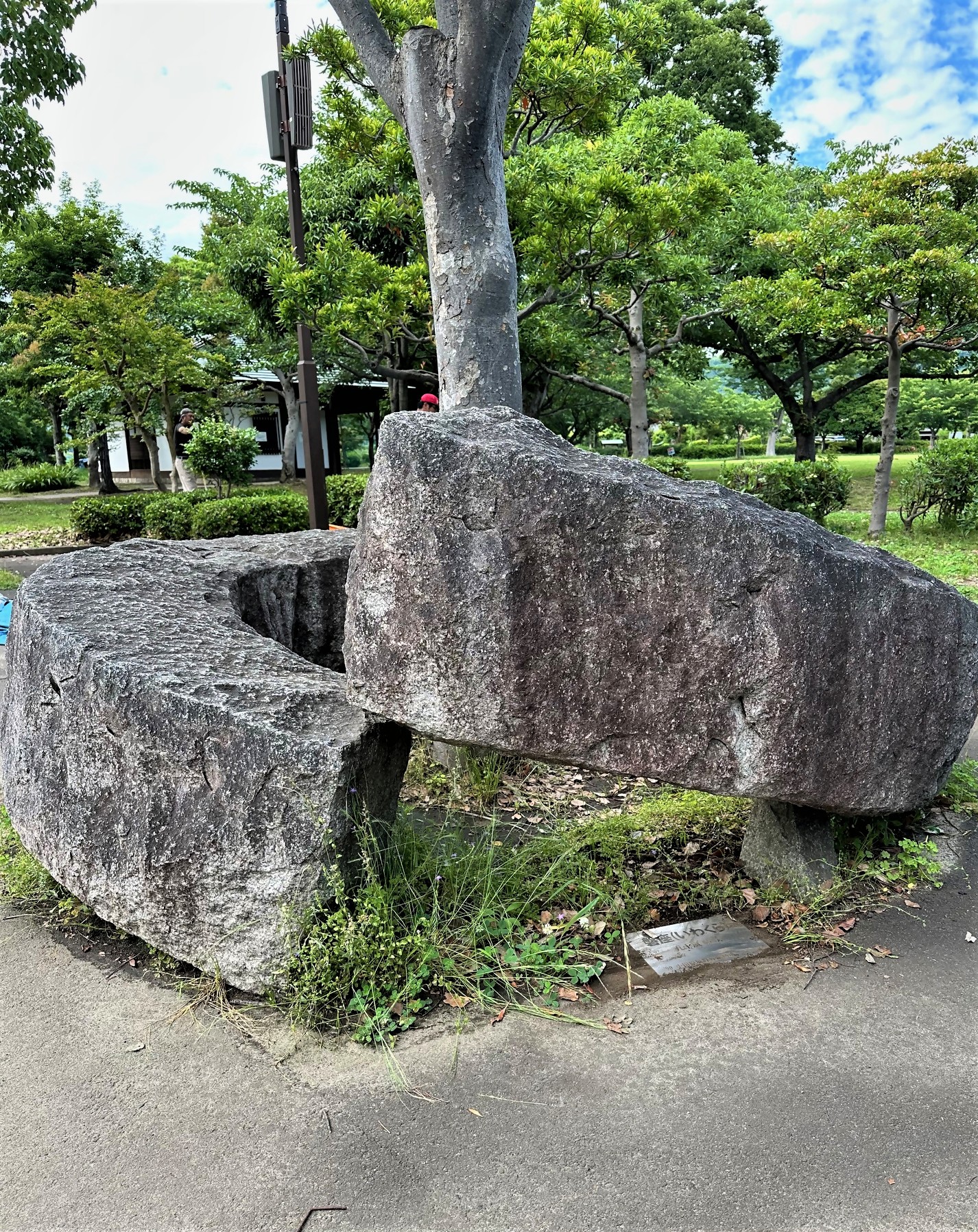 現在の作品の様子