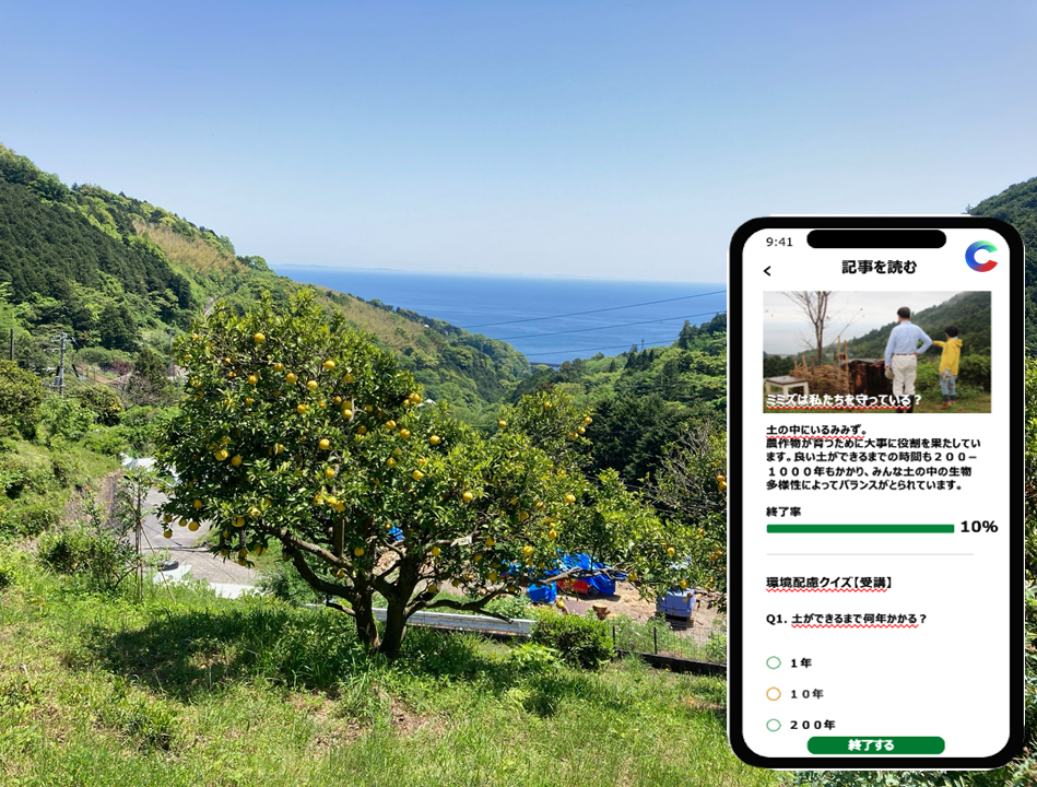 片浦地区の画像です。
