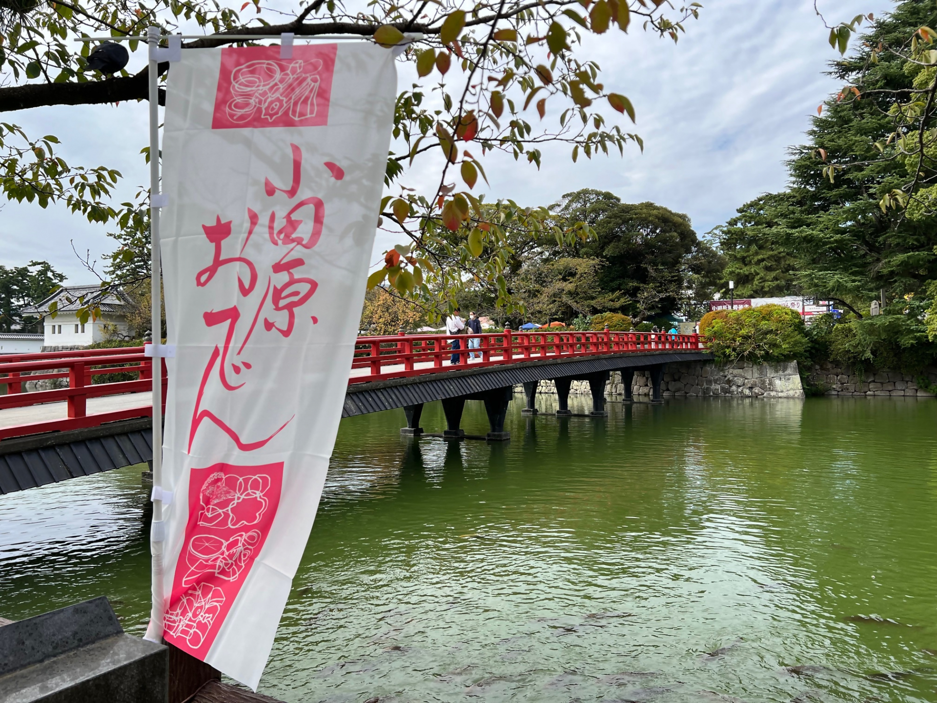 学橋手前から見た小田原おでん祭りの旗