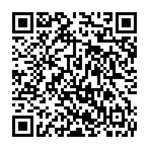 申込フォームのリンクはこのQRコードから。外部リンクへ飛びます。