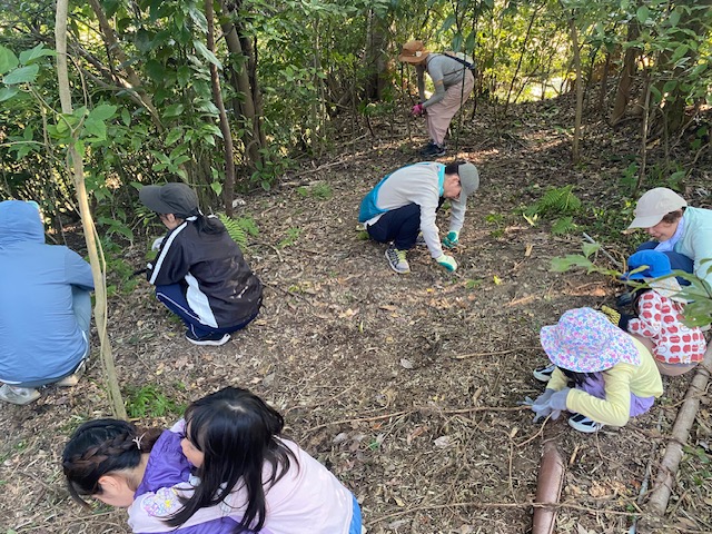 栄養が地に行き届くのを妨げている落ち葉を拾っている様子