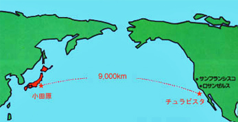 小田原市とチュラビスタ市