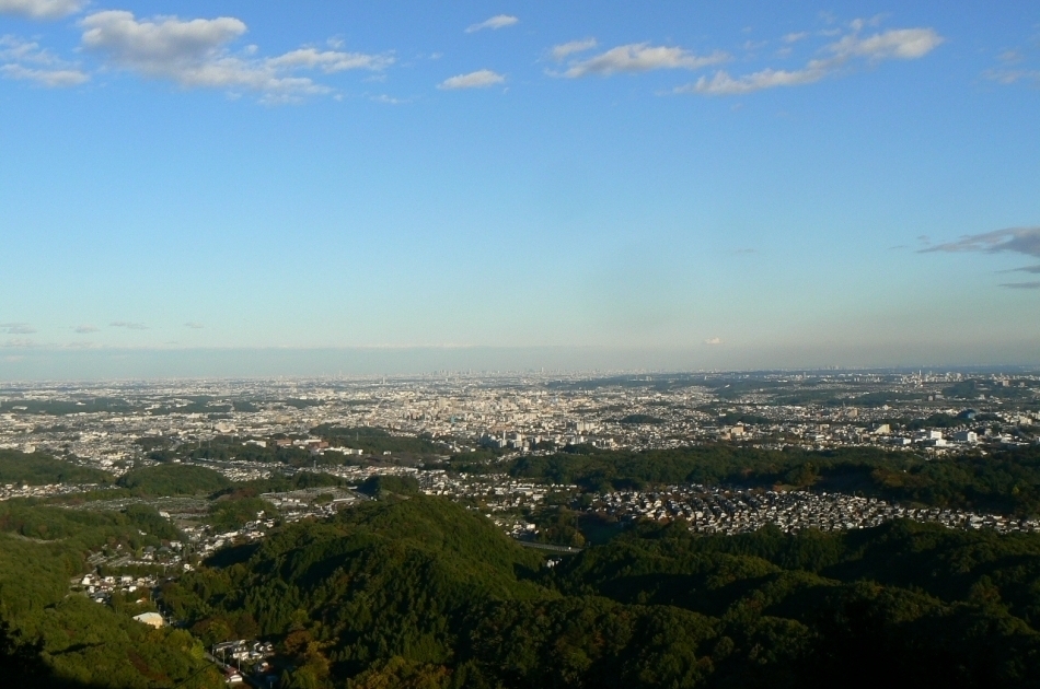 城跡から都心部の眺望