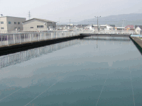 高田浄水場(沈澱池)