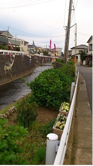 下菊川